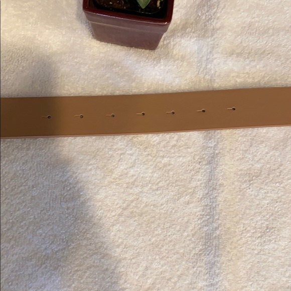 Light Brown (Taupe) Bling V Belt - Picture 5 of 7